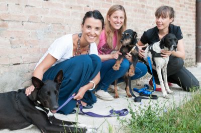 Bestiacce: l’anima gemella… a quattro zampe Bestiacce: l’anima gemella… a quattro zampe
