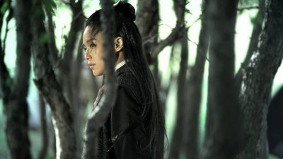 Genere, raffinatezza e riflessione: alla scoperta del cinema asiatico Genere, raffinatezza e riflessione: alla scoperta del cinema asiatico