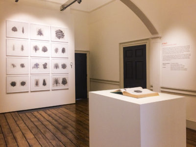 “L’Architettura degli Alberi”. Il Padiglione Italia alla London Design Biennale “L’Architettura degli Alberi”. Il Padiglione Italia alla London Design Biennale