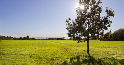 5+1 consigli per aiutare l’ambiente 5+1 consigli per aiutare l’ambiente