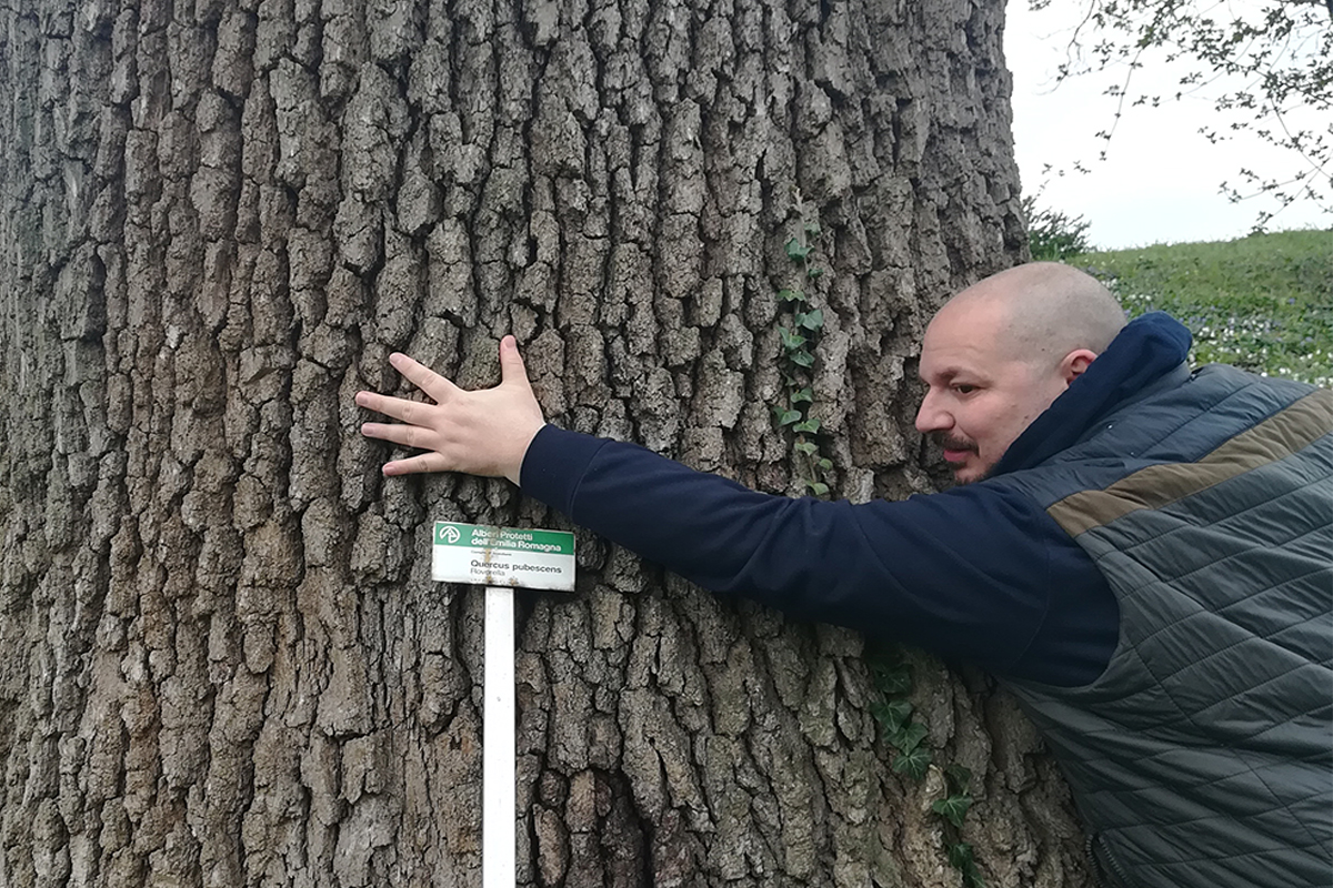 pietro comeri aspis simbiosi magazine nuove antiche foreste mocu modena cultura