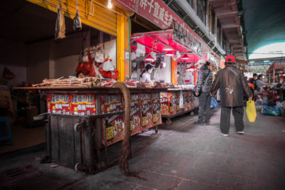 max cavallari fotografo ansa mocu modena cultura